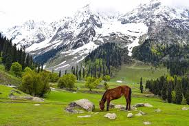 Best Season For Kashmir Trip