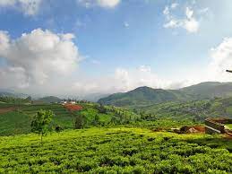 Tourist Places In Ooty