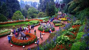 Tourist Places In Ooty